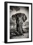 Awesome South Africa Collection B&W - Elephant Portrait IV-Philippe Hugonnard-Framed Photographic Print