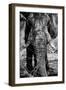 Awesome South Africa Collection B&W - Elephant Portrait IX-Philippe Hugonnard-Framed Photographic Print