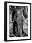 Awesome South Africa Collection B&W - Elephant Portrait IX-Philippe Hugonnard-Framed Photographic Print