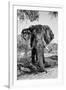 Awesome South Africa Collection B&W - Elephant Portrait V-Philippe Hugonnard-Framed Photographic Print