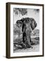 Awesome South Africa Collection B&W - Elephant Portrait V-Philippe Hugonnard-Framed Premium Photographic Print