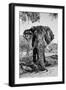 Awesome South Africa Collection B&W - Elephant Portrait V-Philippe Hugonnard-Framed Premium Photographic Print