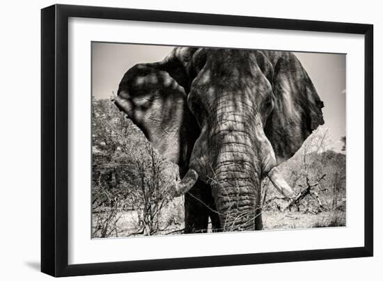 Awesome South Africa Collection B&W - Elephant Portrait VI-Philippe Hugonnard-Framed Photographic Print