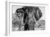 Awesome South Africa Collection B&W - Elephant Portrait VII-Philippe Hugonnard-Framed Photographic Print