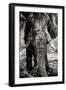 Awesome South Africa Collection B&W - Elephant Portrait VIII-Philippe Hugonnard-Framed Photographic Print