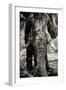 Awesome South Africa Collection B&W - Elephant Portrait VIII-Philippe Hugonnard-Framed Photographic Print