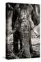 Awesome South Africa Collection B&W - Elephant Portrait VIII-Philippe Hugonnard-Stretched Canvas