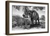 Awesome South Africa Collection B&W - Elephant V-Philippe Hugonnard-Framed Photographic Print