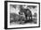 Awesome South Africa Collection B&W - Elephant V-Philippe Hugonnard-Framed Photographic Print