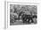 Awesome South Africa Collection B&W - Family of Elephants-Philippe Hugonnard-Framed Photographic Print