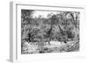 Awesome South Africa Collection B&W - Giraffes and Zebras in the Savanna-Philippe Hugonnard-Framed Photographic Print