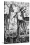 Awesome South Africa Collection B&W - Impalas Family II-Philippe Hugonnard-Stretched Canvas