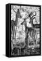 Awesome South Africa Collection B&W - Impalas Family II-Philippe Hugonnard-Framed Stretched Canvas