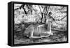 Awesome South Africa Collection B&W - Nyala Antelope-Philippe Hugonnard-Framed Stretched Canvas