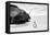 Awesome South Africa Collection B&W - Penguin at Boulders Beach II-Philippe Hugonnard-Framed Stretched Canvas