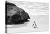 Awesome South Africa Collection B&W - Penguin at Boulders Beach II-Philippe Hugonnard-Stretched Canvas