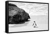 Awesome South Africa Collection B&W - Penguin at Boulders Beach II-Philippe Hugonnard-Framed Stretched Canvas