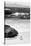 Awesome South Africa Collection B&W-Penguin at Boulders Beach-Philippe Hugonnard-Stretched Canvas