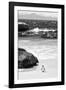 Awesome South Africa Collection B&W-Penguin at Boulders Beach-Philippe Hugonnard-Framed Photographic Print