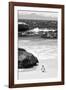 Awesome South Africa Collection B&W-Penguin at Boulders Beach-Philippe Hugonnard-Framed Photographic Print