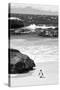 Awesome South Africa Collection B&W-Penguin at Boulders Beach-Philippe Hugonnard-Stretched Canvas