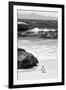 Awesome South Africa Collection B&W-Penguin at Boulders Beach-Philippe Hugonnard-Framed Premium Photographic Print