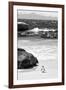 Awesome South Africa Collection B&W-Penguin at Boulders Beach-Philippe Hugonnard-Framed Photographic Print