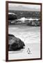 Awesome South Africa Collection B&W-Penguin at Boulders Beach-Philippe Hugonnard-Framed Photographic Print