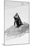 Awesome South Africa Collection B&W - Penguin Lovers III-Philippe Hugonnard-Mounted Photographic Print