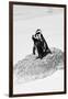 Awesome South Africa Collection B&W - Penguin Lovers III-Philippe Hugonnard-Framed Photographic Print