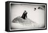 Awesome South Africa Collection B&W - Penguin Lovers-Philippe Hugonnard-Framed Stretched Canvas