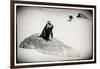 Awesome South Africa Collection B&W - Penguin Lovers-Philippe Hugonnard-Framed Photographic Print