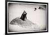 Awesome South Africa Collection B&W - Penguin Lovers-Philippe Hugonnard-Framed Photographic Print