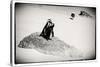 Awesome South Africa Collection B&W - Penguin Lovers-Philippe Hugonnard-Stretched Canvas