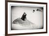 Awesome South Africa Collection B&W - Penguin Lovers-Philippe Hugonnard-Framed Photographic Print