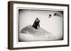 Awesome South Africa Collection B&W - Penguin Lovers-Philippe Hugonnard-Framed Photographic Print