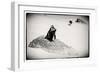 Awesome South Africa Collection B&W - Penguin Lovers-Philippe Hugonnard-Framed Photographic Print