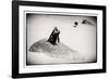 Awesome South Africa Collection B&W - Penguin Lovers-Philippe Hugonnard-Framed Photographic Print