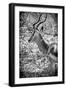 Awesome South Africa Collection B&W - Portrait of Impala-Philippe Hugonnard-Framed Photographic Print