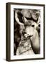 Awesome South Africa Collection B&W - Portrait of Nyala Antelope III-Philippe Hugonnard-Framed Photographic Print