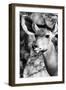 Awesome South Africa Collection B&W - Portrait of Nyala Antelope IV-Philippe Hugonnard-Framed Photographic Print