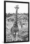 Awesome South Africa Collection B&W - Portrait of Two Giraffes I-Philippe Hugonnard-Framed Photographic Print