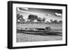 Awesome South Africa Collection B&W - Savannah View with one Black Rhino-Philippe Hugonnard-Framed Photographic Print