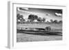 Awesome South Africa Collection B&W - Savannah View with one Black Rhino-Philippe Hugonnard-Framed Photographic Print