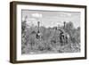 Awesome South Africa Collection B&W - Three Giraffes in the African Savannah-Philippe Hugonnard-Framed Photographic Print