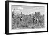 Awesome South Africa Collection B&W - Three Giraffes in the African Savannah-Philippe Hugonnard-Framed Photographic Print