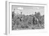 Awesome South Africa Collection B&W - Three Giraffes in the African Savannah-Philippe Hugonnard-Framed Photographic Print