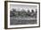 Awesome South Africa Collection B&W - Trio of Common Zebras-Philippe Hugonnard-Framed Photographic Print