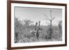 Awesome South Africa Collection B&W - Two Giraffes in the African Savannah-Philippe Hugonnard-Framed Photographic Print