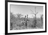 Awesome South Africa Collection B&W - Two Giraffes in the African Savannah-Philippe Hugonnard-Framed Photographic Print